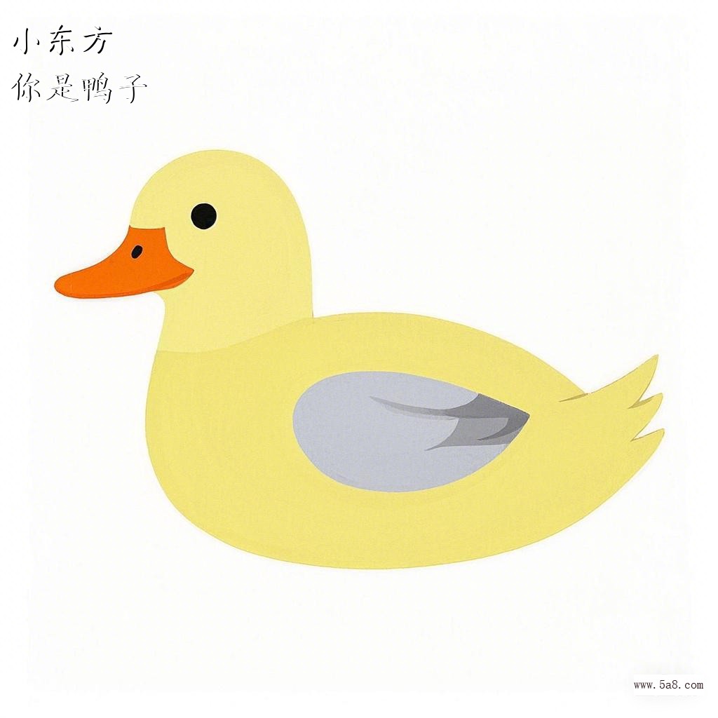 你是鸭子小东方搞笑图片