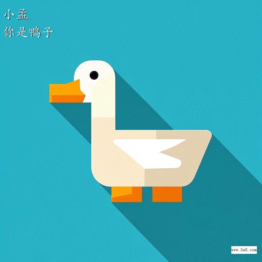 你是鸭子小孟搞笑图片