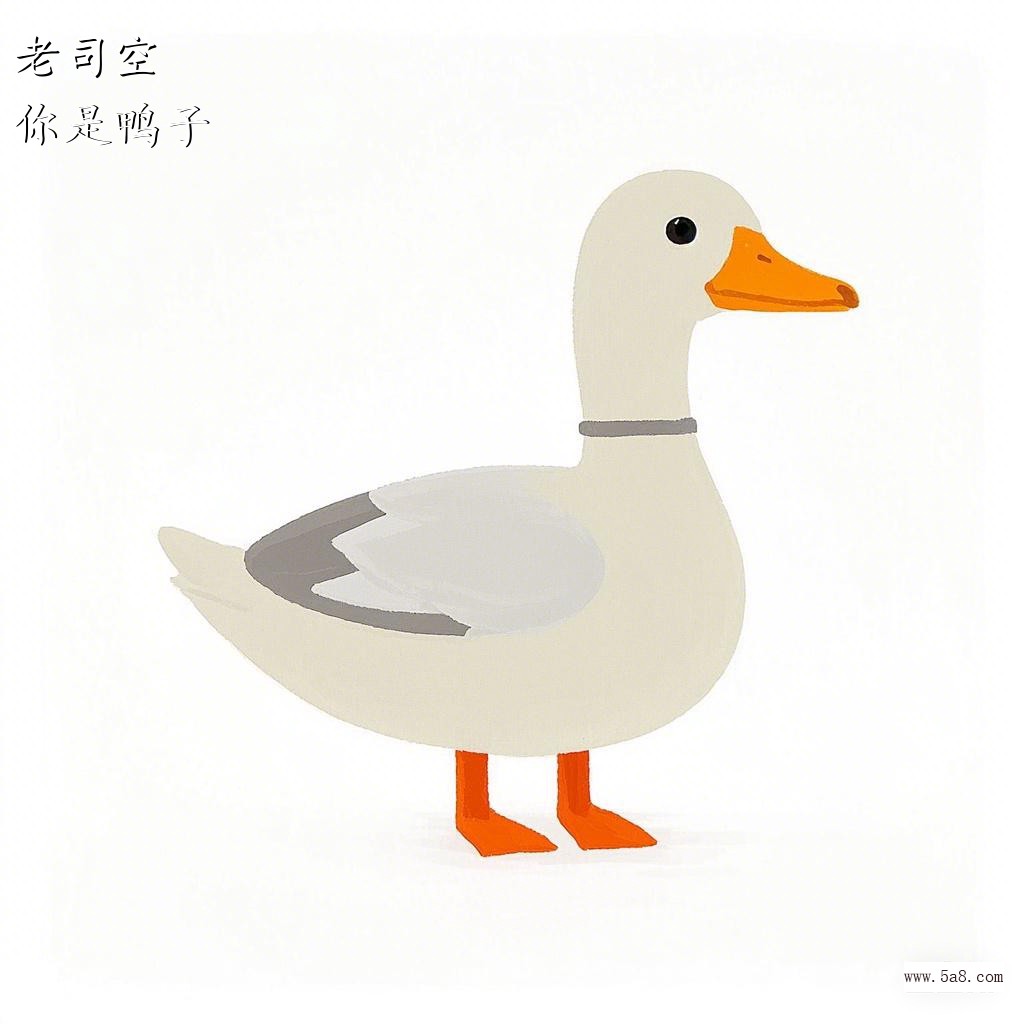 你是鸭子老司空搞笑图片