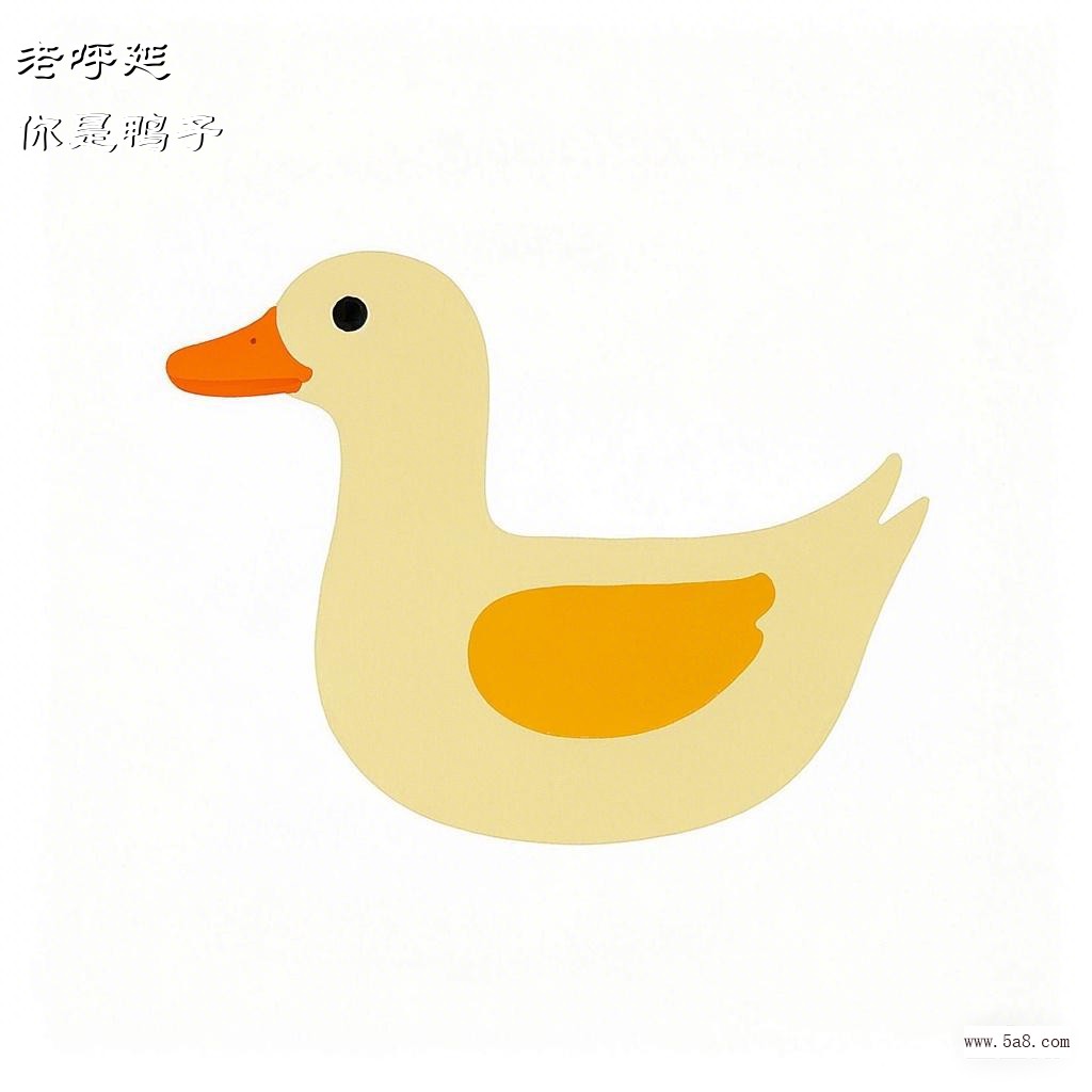 你是鸭子老呼延搞笑图片