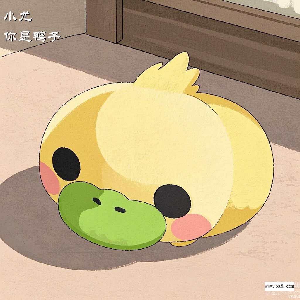 你是鸭子小尤搞笑图片