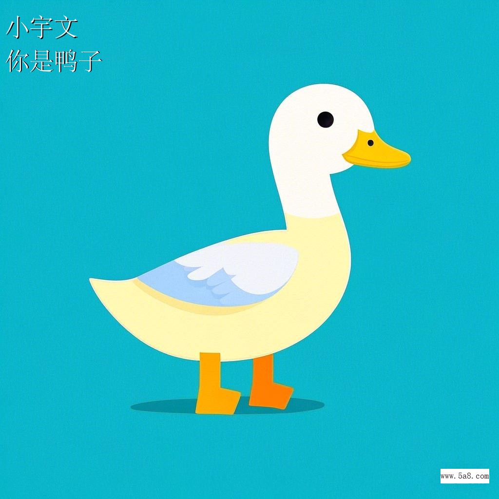 你是鸭子小宇文搞笑图片
