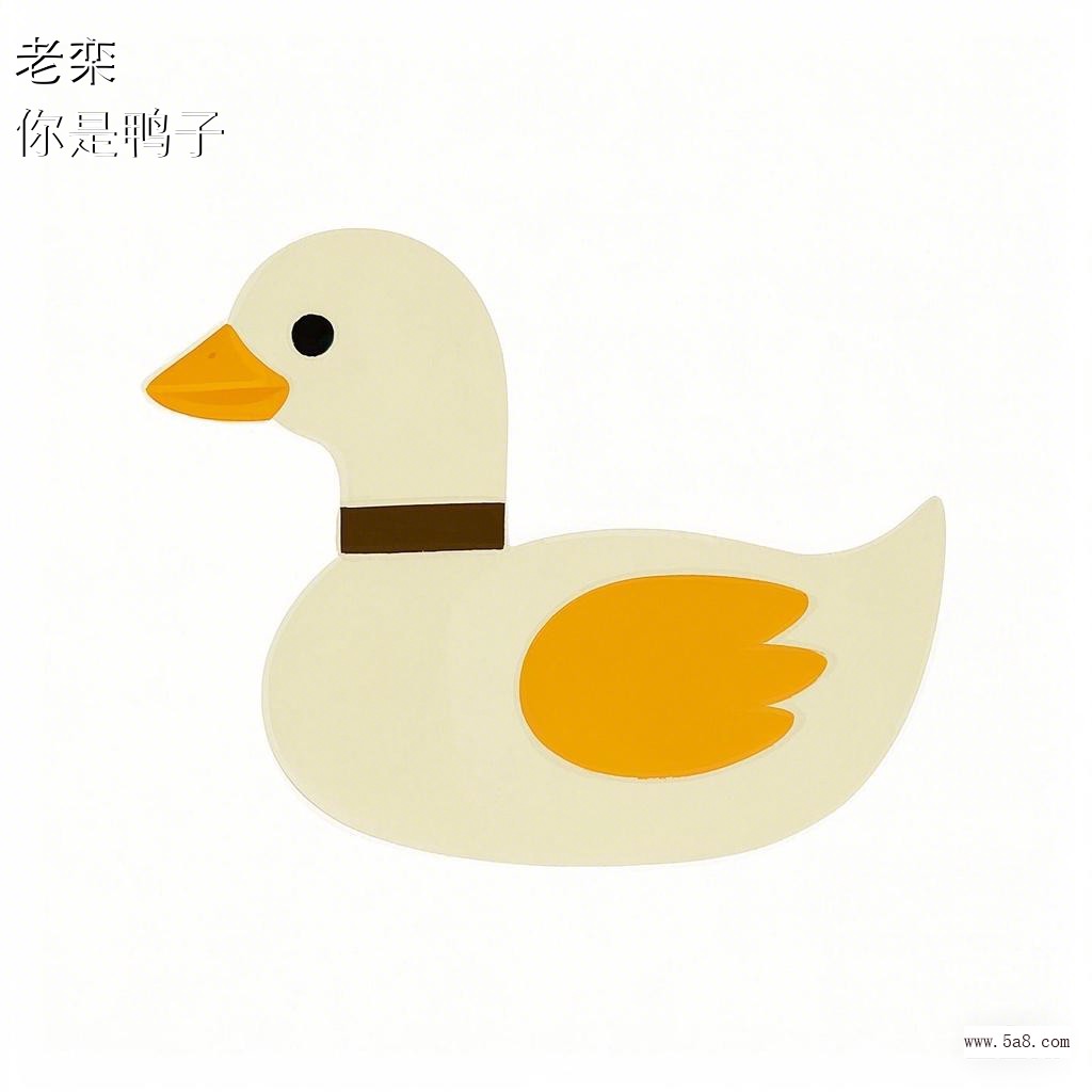 你是鸭子老栾搞笑图片