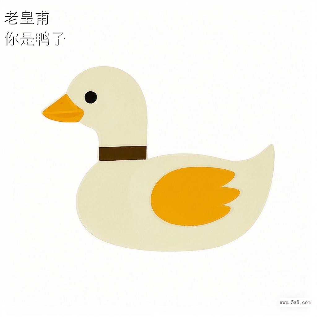 你是鸭子老皇甫搞笑图片