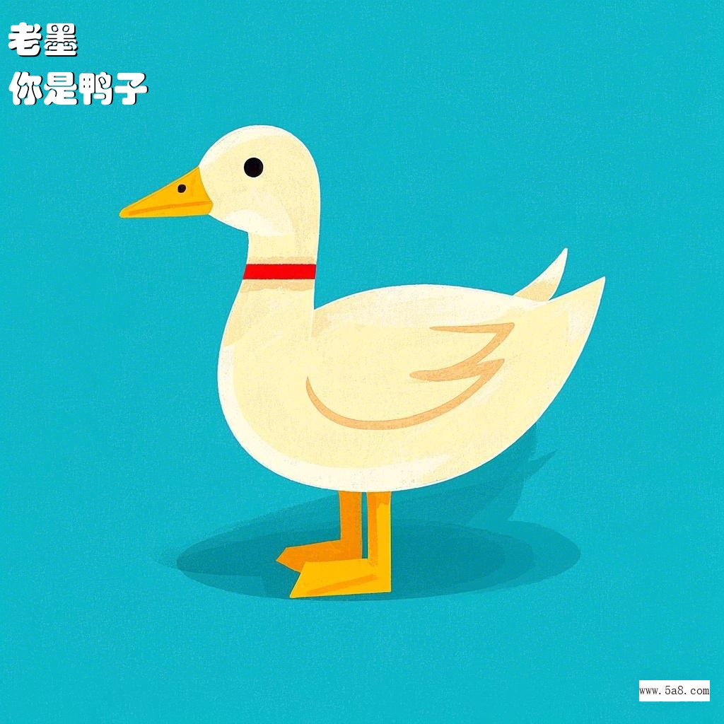 你是鸭子老墨搞笑图片