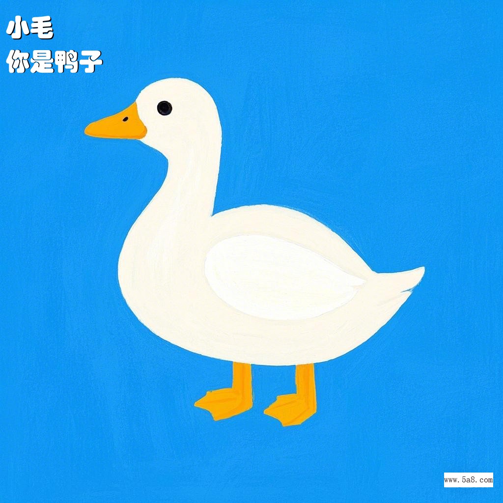 你是鸭子小毛搞笑图片