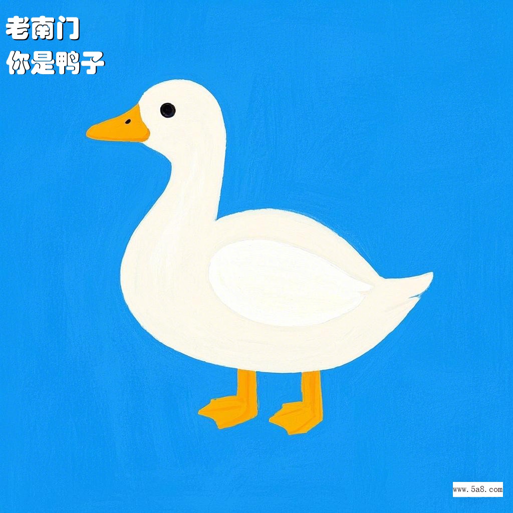 你是鸭子老南门搞笑图片