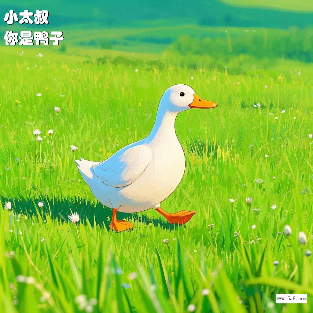 你是鸭子小太叔搞笑图片