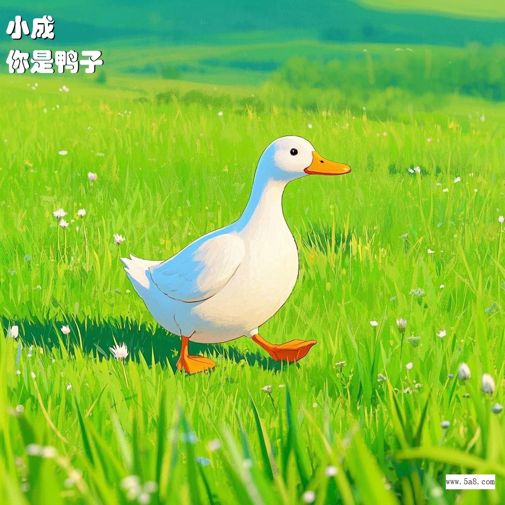 你是鸭子小成搞笑图片