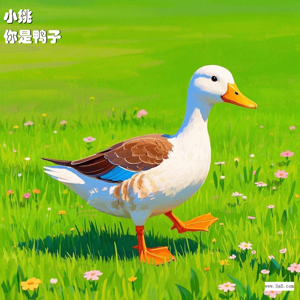 你是鸭子小姚搞笑图片