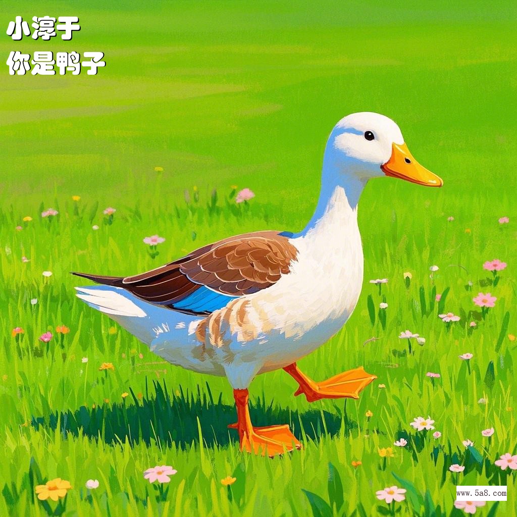 你是鸭子小淳于搞笑图片