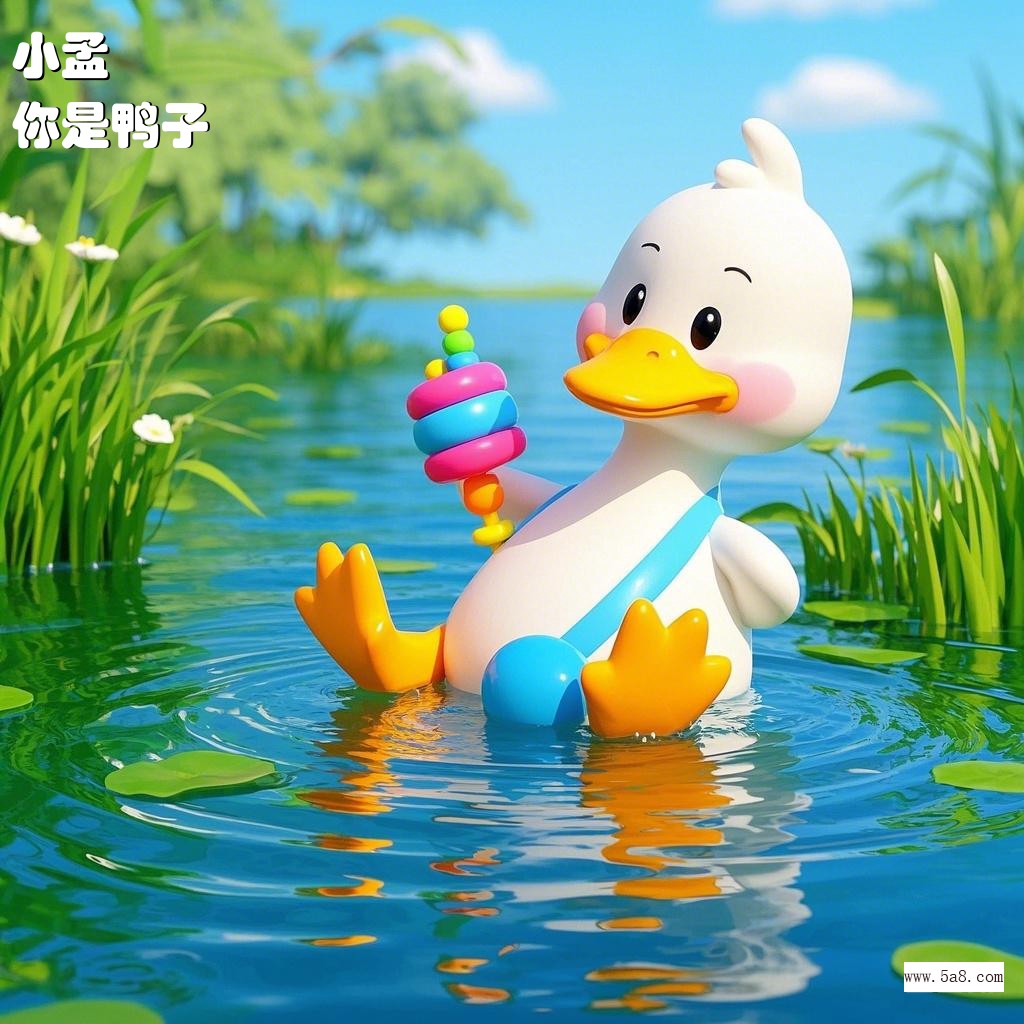 你是鸭子小孟搞笑图片
