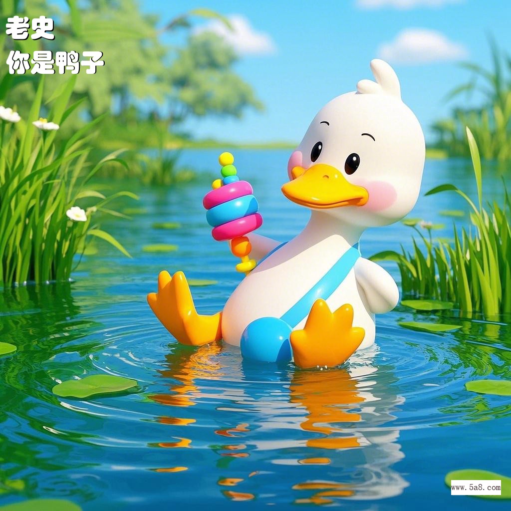 你是鸭子老史搞笑图片