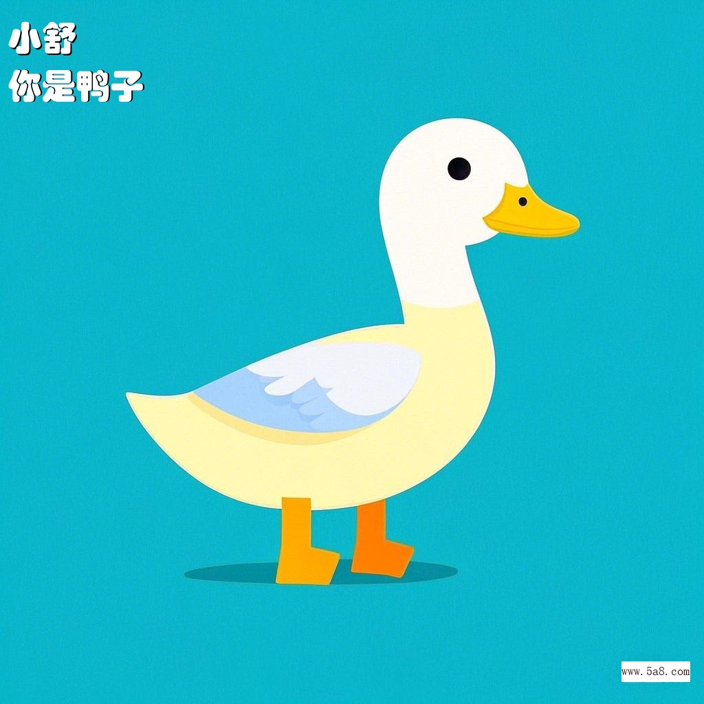 你是鸭子小舒搞笑图片