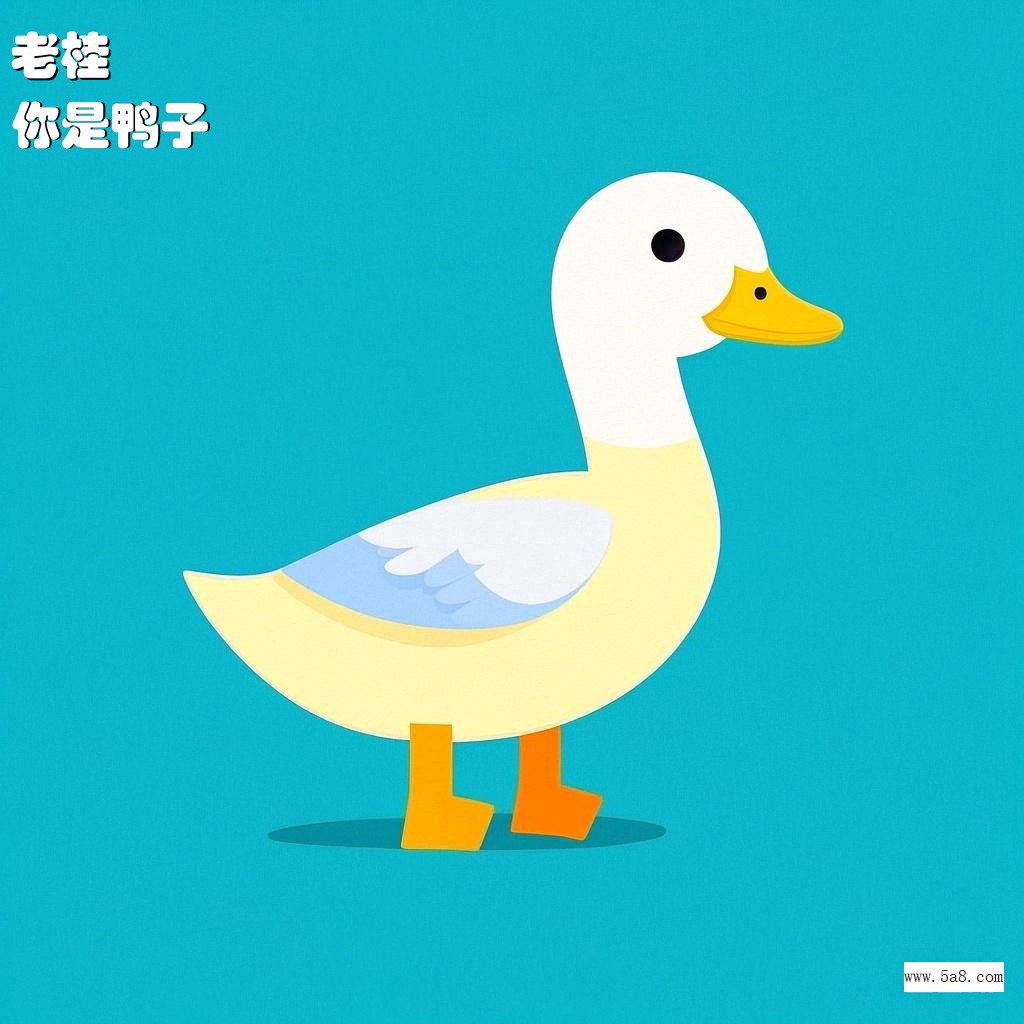 你是鸭子老桂搞笑图片
