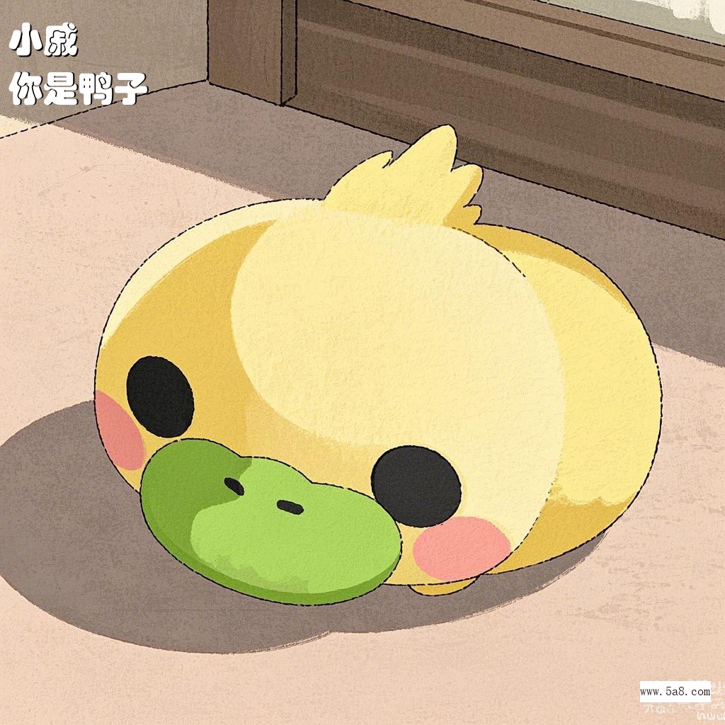 你是鸭子小戚搞笑图片