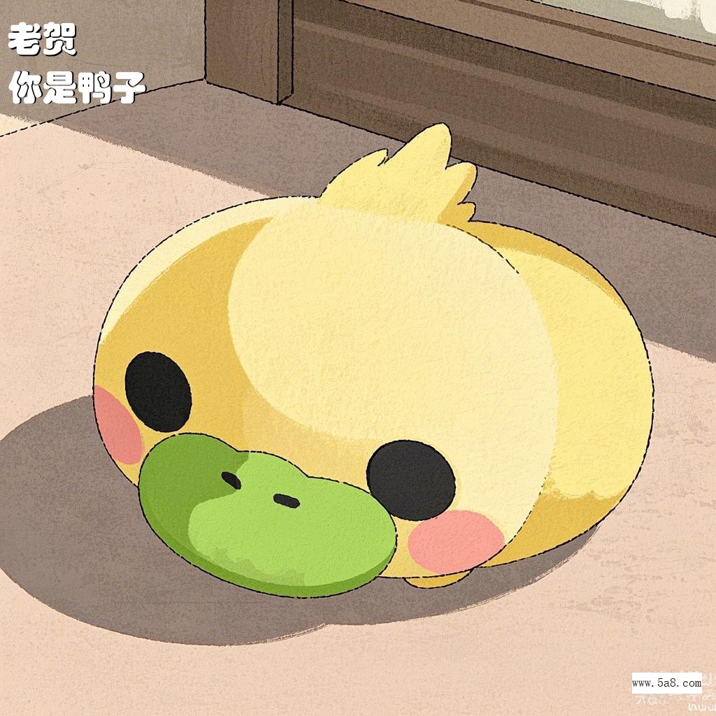 你是鸭子老贺搞笑图片