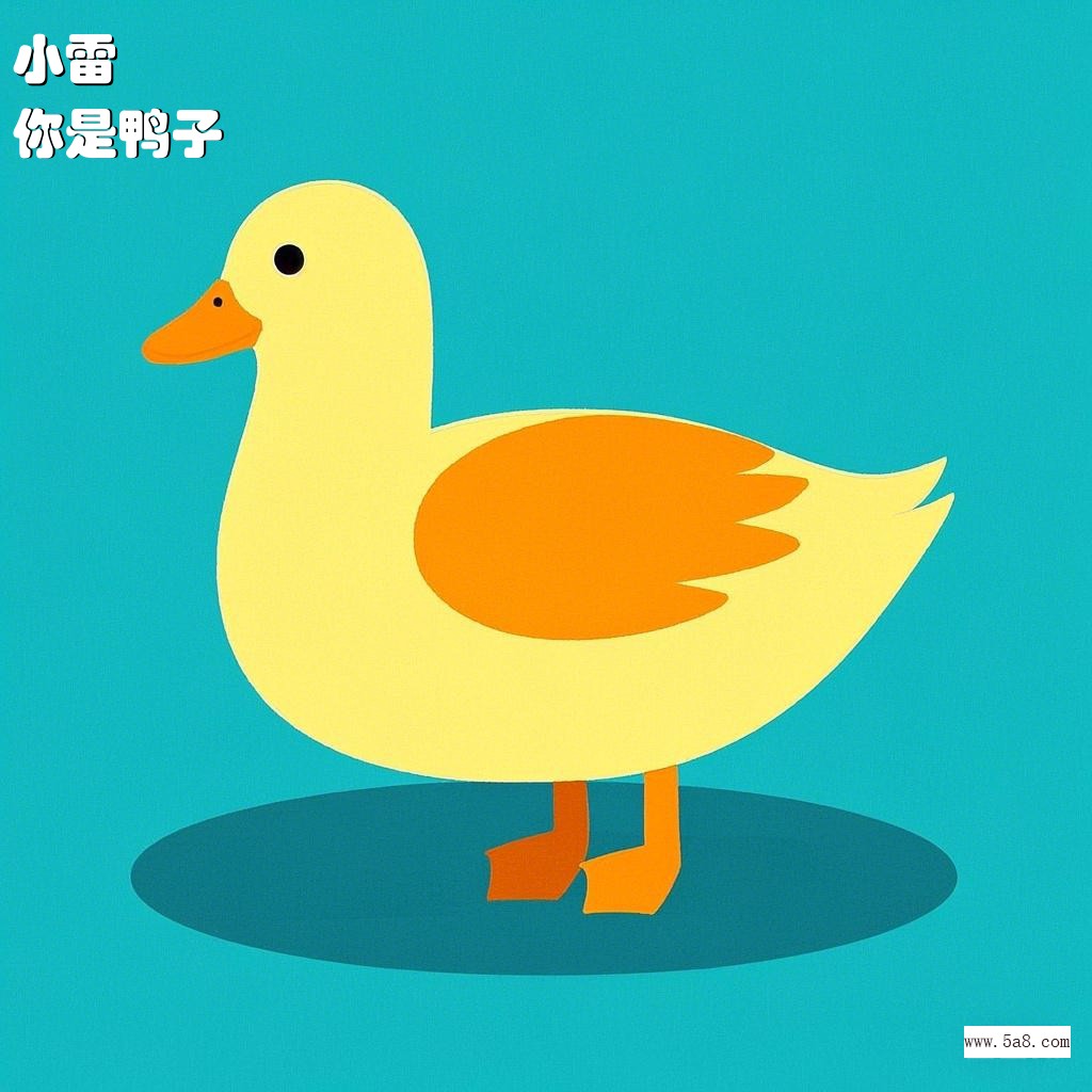 你是鸭子小雷搞笑图片