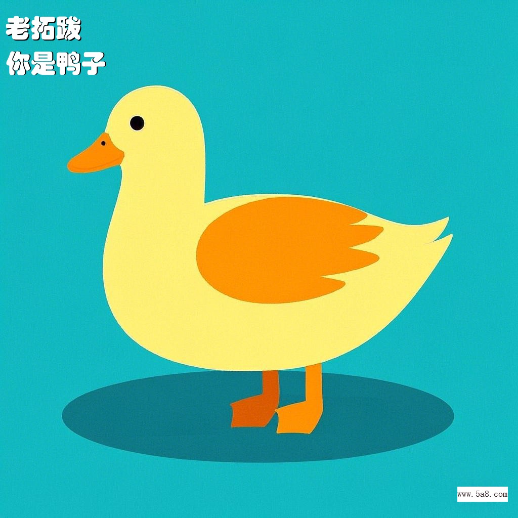 你是鸭子老拓跋搞笑图片