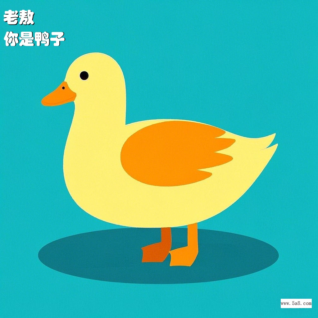 你是鸭子老敖搞笑图片
