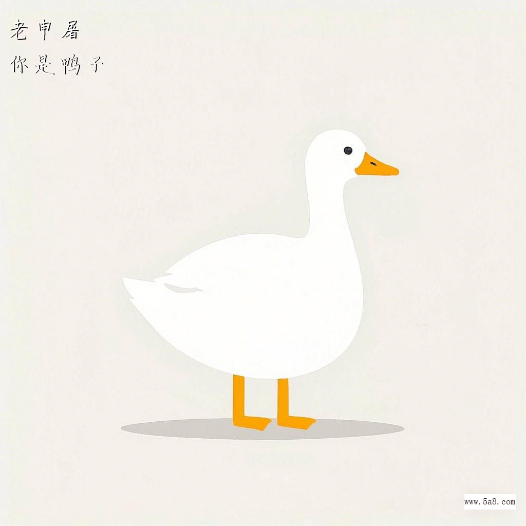 你是鸭子老申屠搞笑图片