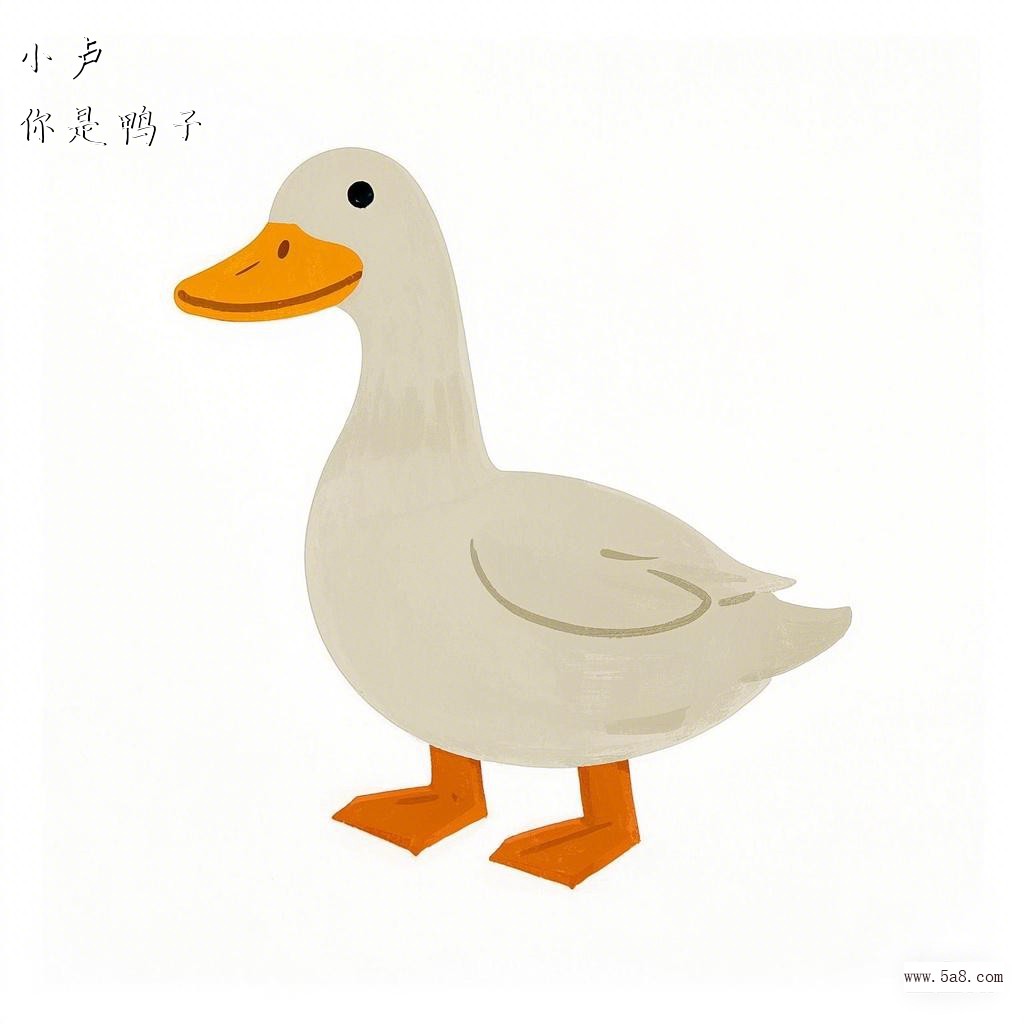 你是鸭子小卢搞笑图片