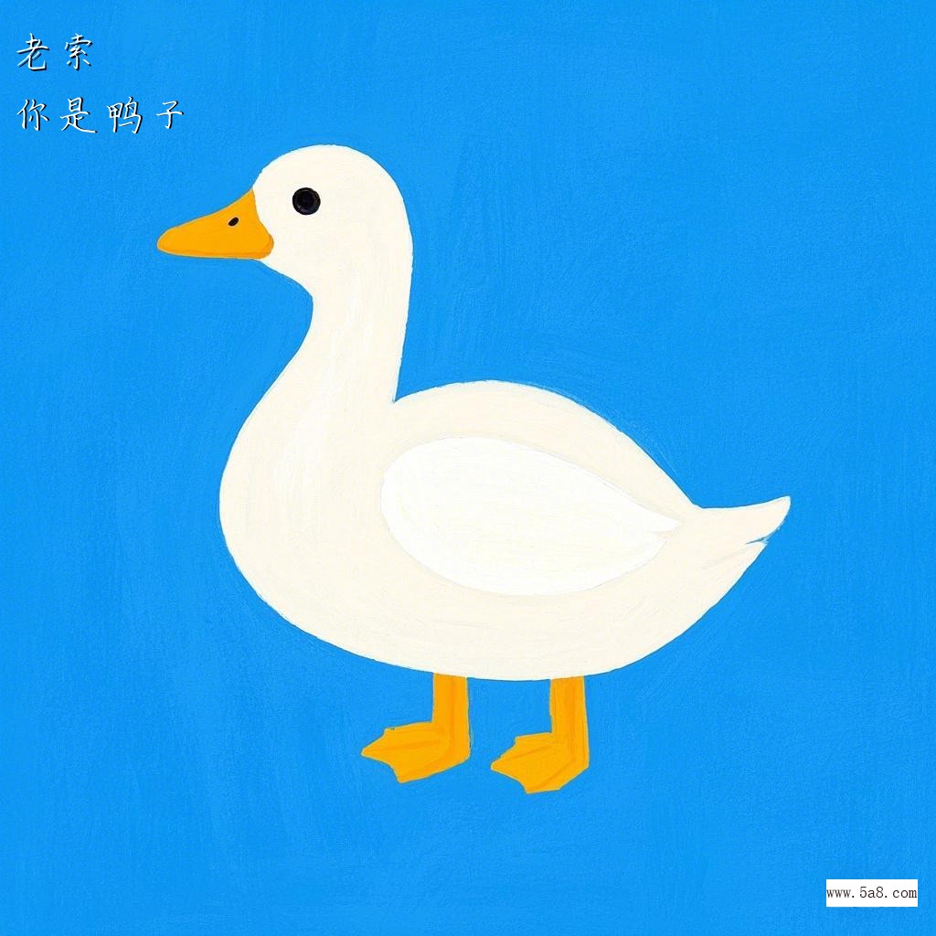 你是鸭子老索搞笑图片