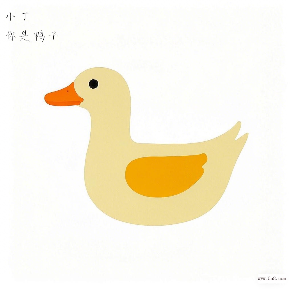 你是鸭子小丁搞笑图片
