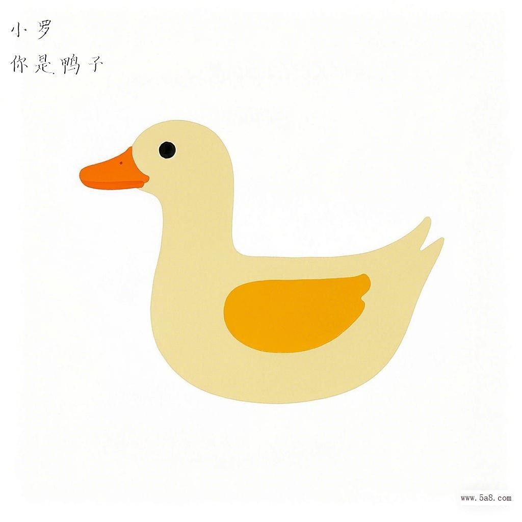 你是鸭子小罗搞笑图片