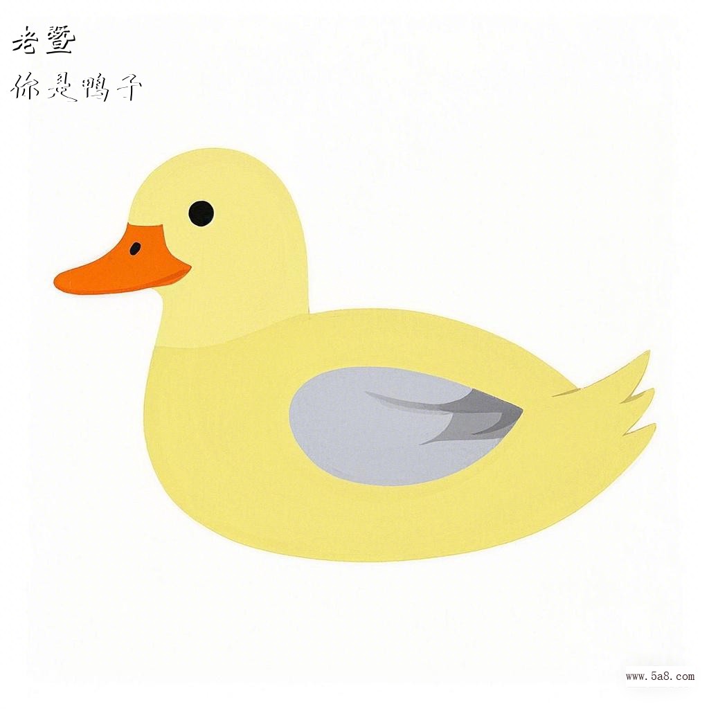 你是鸭子老暨搞笑图片