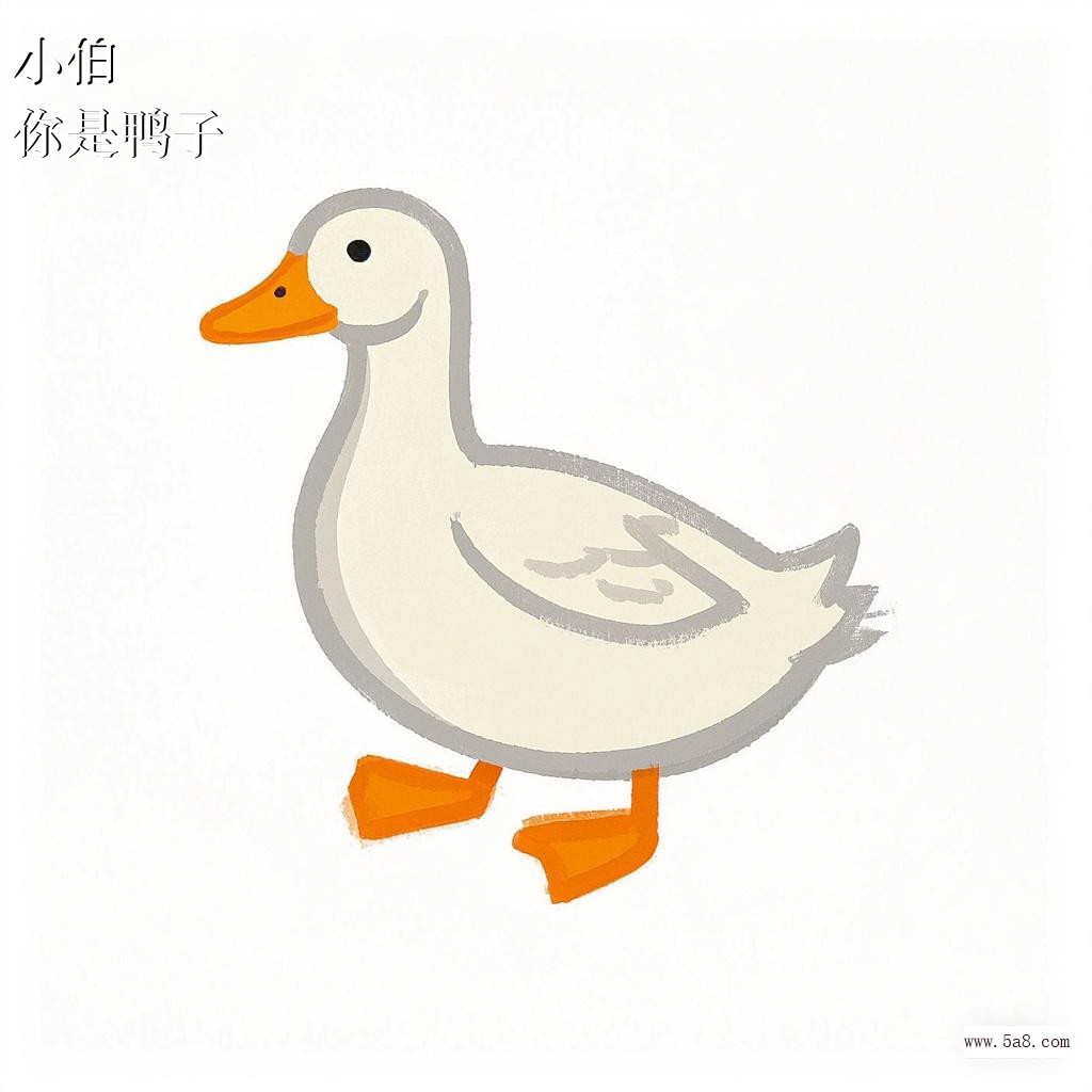 你是鸭子小伯搞笑图片