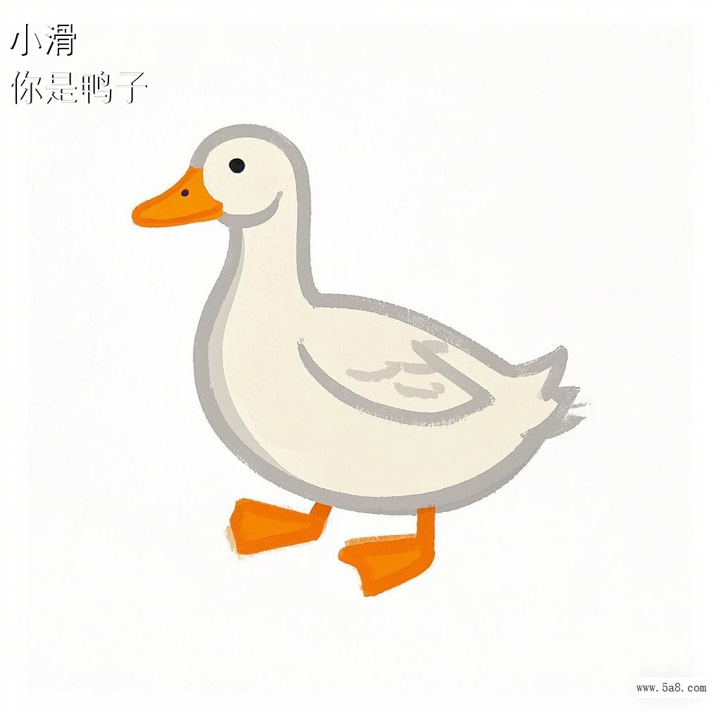 你是鸭子小滑搞笑图片