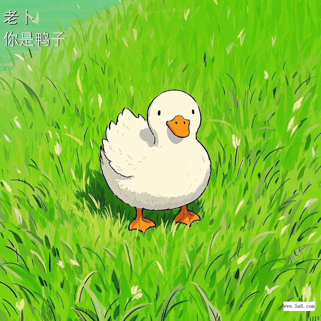 你是鸭子老卜搞笑图片
