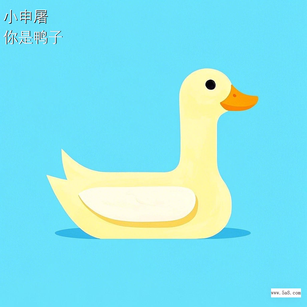 你是鸭子小申屠搞笑图片