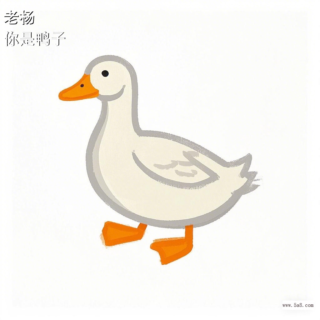 你是鸭子老杨搞笑图片