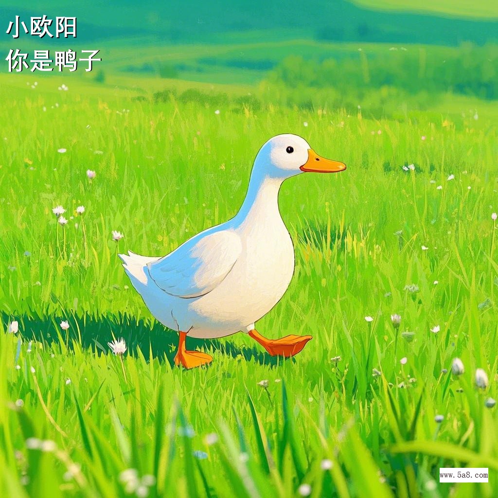 你是鸭子小欧阳搞笑图片