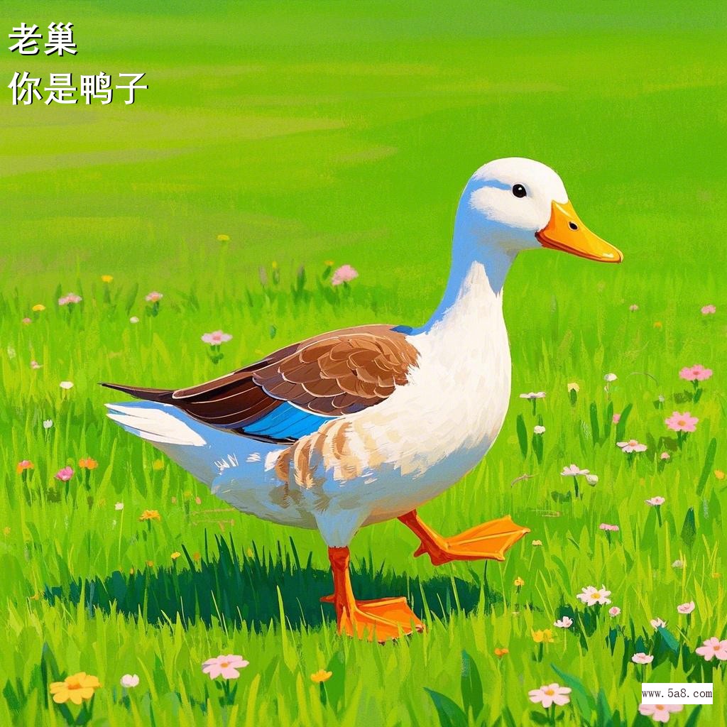 你是鸭子老巢搞笑图片