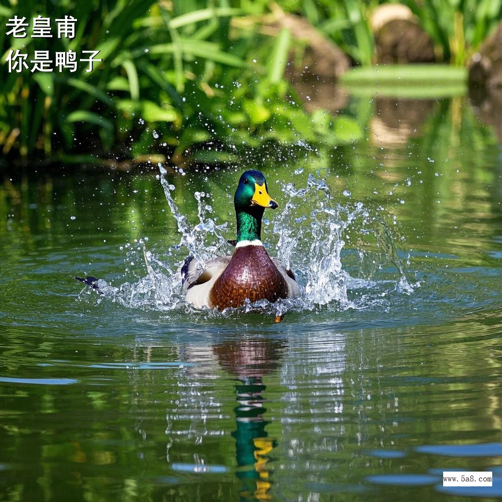 你是鸭子老皇甫搞笑图片