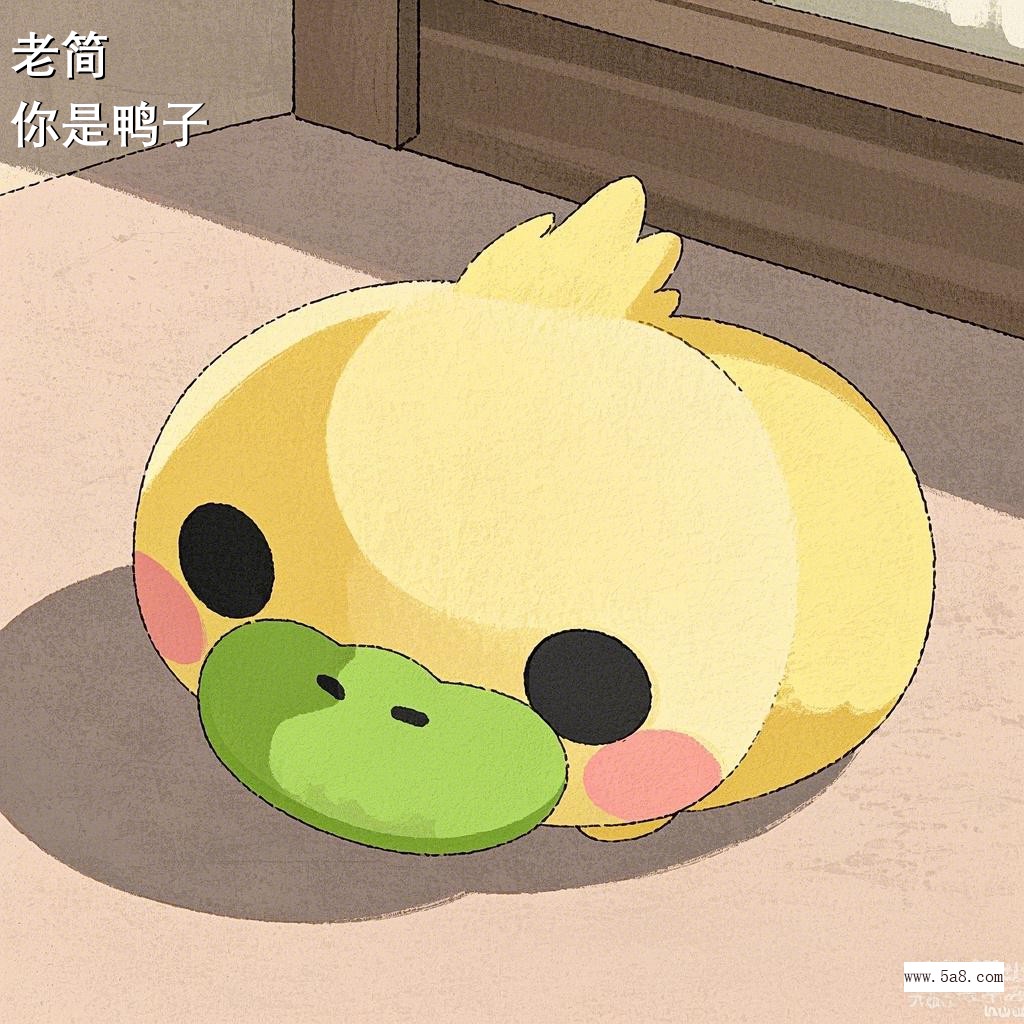 你是鸭子老简搞笑图片