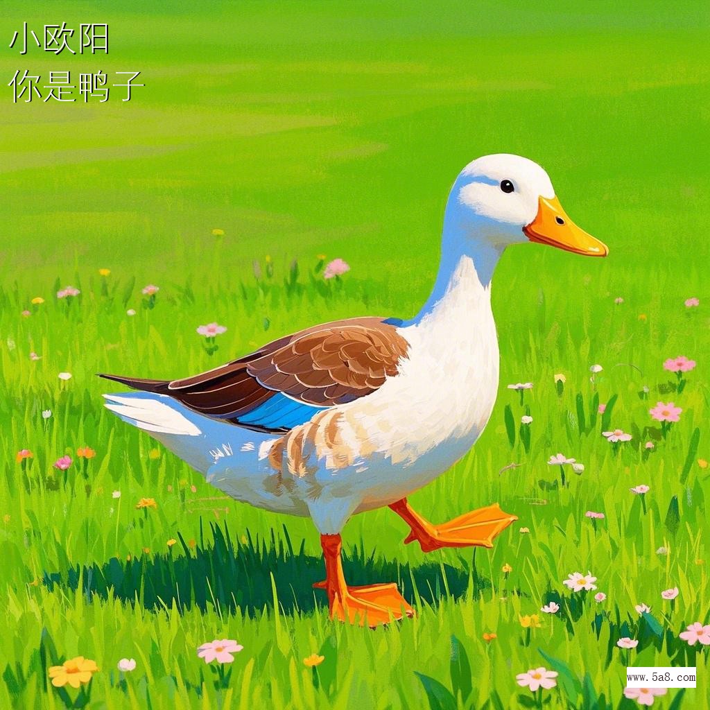你是鸭子小欧阳搞笑图片