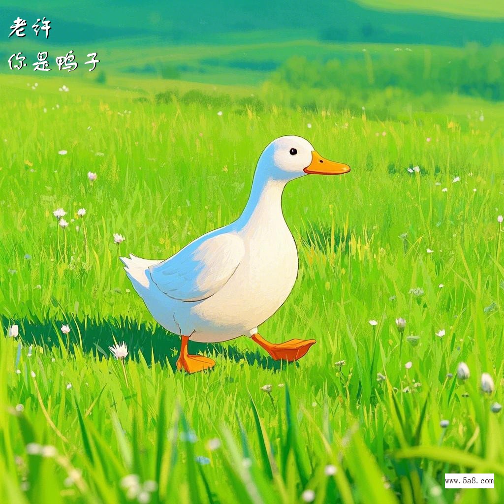 你是鸭子老许搞笑图片